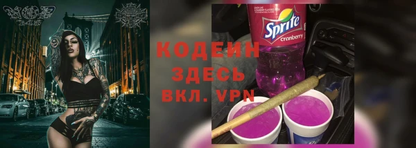 трава Инта