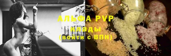 трава Инта