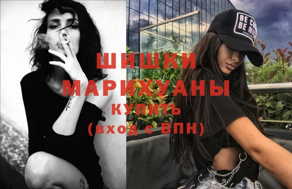 трава Сясьстрой