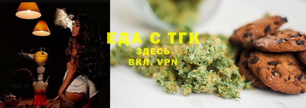 прущие грибы Тайга