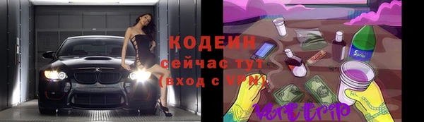 прущие грибы Тайга