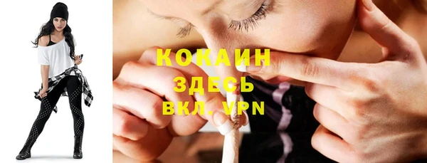 меф Тавда