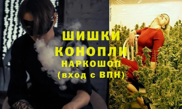 трава Инта