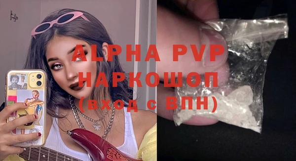 a pvp Инсар