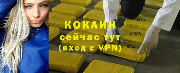 прущие грибы Тайга