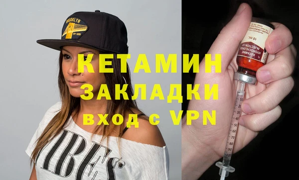 трава Сясьстрой